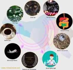 Kopi Luwak Koffie. 35 Gram Ongemalen Bonen. Direct Trade. Single Origin. The Original By Rich.Exclusive. -Bekend Koffie Winkel 1200x1153 1