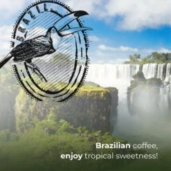 Soolong Enjoy Brazilie Nr4000 Koffiebonen Topacio Lungo - Speciality Koffie Arabica Medium Roast, Light Body Met Een Verfijnde Zacht Zoete Smaak. - Zak 250gram -Bekend Koffie Winkel 1200x1200 271