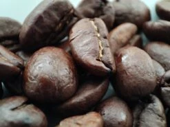 Voordeelpakket: Den Leeuw Lungo (80 Koffiecups) - Roast Koffiecups - Echte Hollandsche Koffie Van Den Leeuw In Nespresso Cups - Nespresso Compatibele Koffie Cups -Bekend Koffie Winkel 1200x900